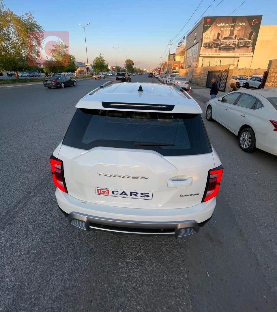 سانغ يونغ توريس